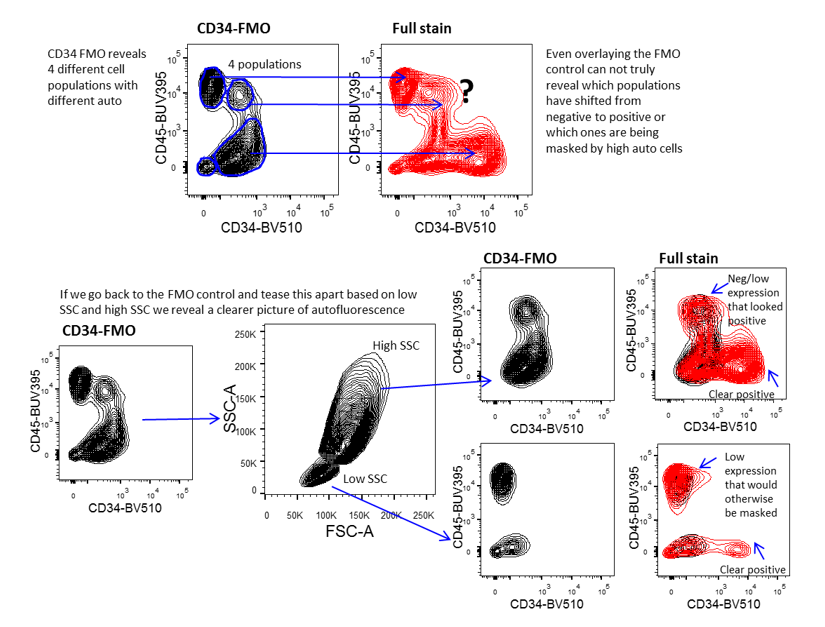 Using FMO controls to manage autofluorescence