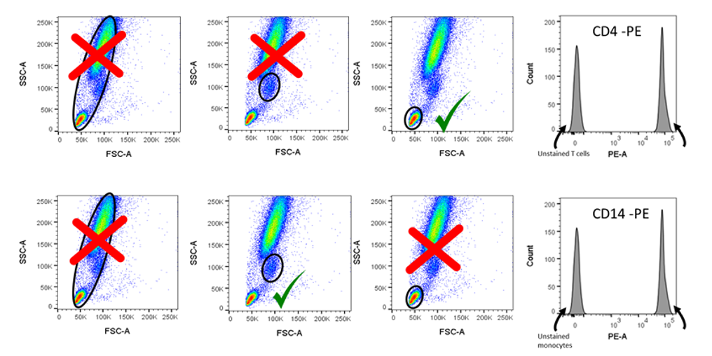 Gating is very important when setting up single colour compensation controls with stained cells